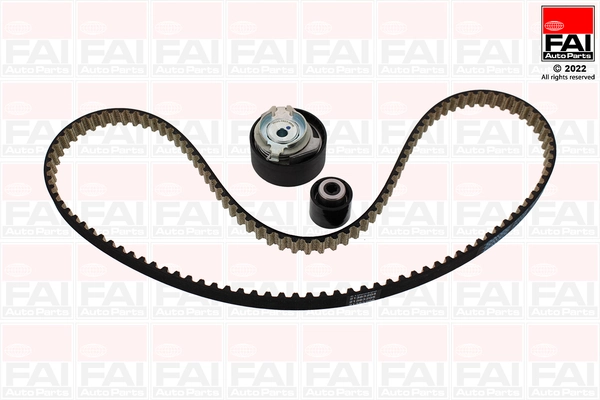 Timing Belt Kit